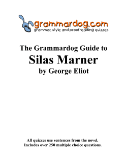 SILAS MARNER by George Eliot &ndash; Grammar and Style