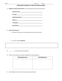 Kingdom Animalia Notes Organizer
