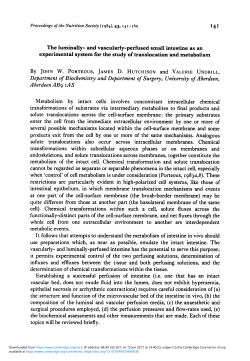 The Luminally-and Vascularly-Perfused Small Intestine as an