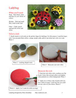 How to Paint a Ladybug (by Patty)