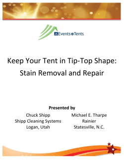 Keep Your Tent in Tip-Top Shape: Stain