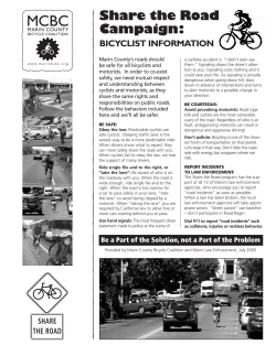 Cyclist &ndash; Share The Road Flyer