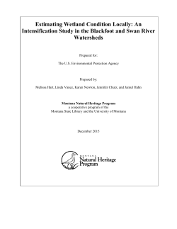 Estimating Wetland Conditions