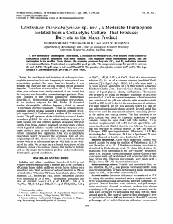 Clostridium thermobutyricum sp. nov. , a Moderate Thermophile