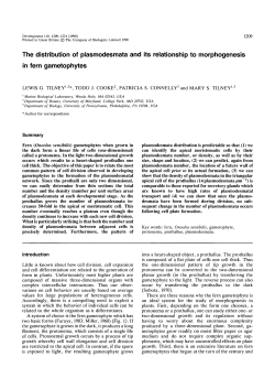 The distribution of plasmodesmata and its