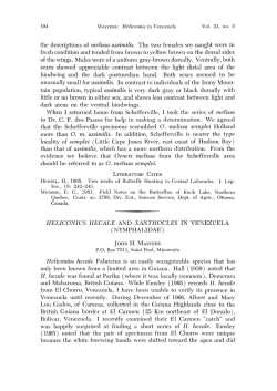 Heliconius hecale and xanthocles in Venezuela