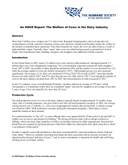 An HSUS Report: The Welfare of Cows in the Dairy Industry