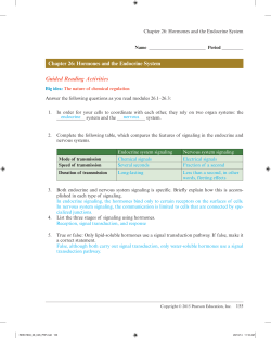 Chapter 26 Answer Key - Scarsdale Public Schools