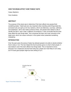 how the brain affect how things taste