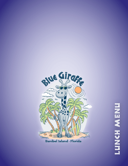 lunch menu - Blue Giraffe