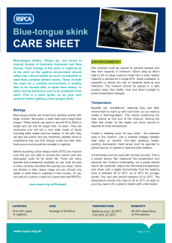 Blue-tongued skinks care sheet