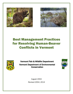 Best Management Practices for Resolving Human