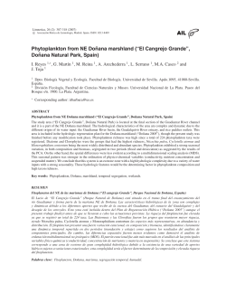 Phytoplankton from NE Do &tilde;nana marshland (&ldquo;El Cangrejo Grande