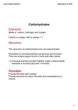Carbohydrates Elements Monomer Function
