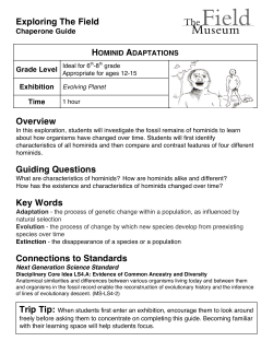 Hominid Adaptations