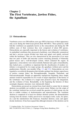 The First Vertebrates, Jawless Fishes, the Agnathans