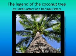The legend of the coconut tree - iml
