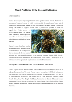 Model Profile for 1.0 ha Coconut Cultivation