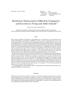 Barbiturate Enhancement of Bilirubin Conjugation and