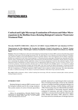 Confocal and Light Microscope Examination of Protozoa and Other