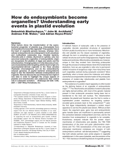 How do endosymbionts become organelles?
