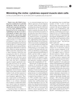 Mimicking the niche: cytokines expand muscle stem cells