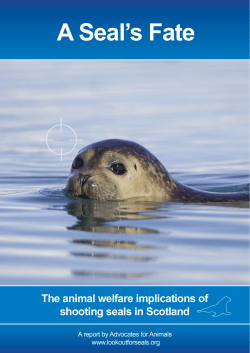 A Seal`s Fate