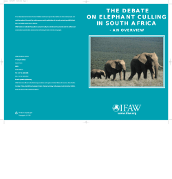the debate on elephant culling in south africa