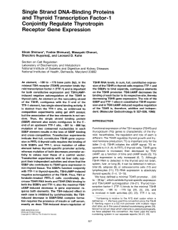 Single Strand DNA-Binding Proteins and Thyroid Transcription
