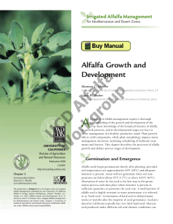 Alfalfa Growth and Development - California Alfalfa Workgroup