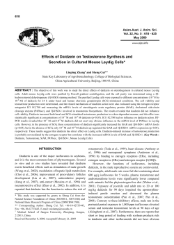 Effects of Daidzein on Testosterone Synthesis and Secretion in