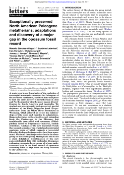Exceptionally preserved North American Paleogene