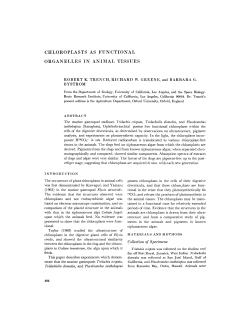 chloroplasts as functional organelles in animal
