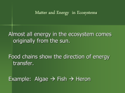 Matter and Energy in Ecosystems