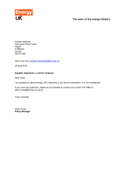 Andrew MacFaul Consumer Policy Team Ofgem 9 Millbank London