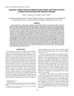 Expression of Major Histocompatibility Complex Antigen and Timing