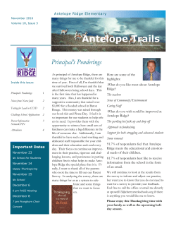 Antelope Trails