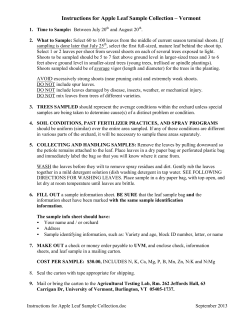 Apple leaf tissue analysis