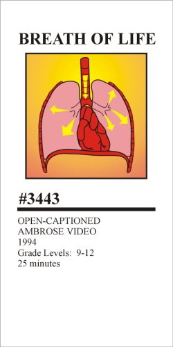 Digest #: 3443 TITLE BREATH OF LIFE