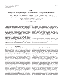 Review Analysis of glycolytic enzyme co