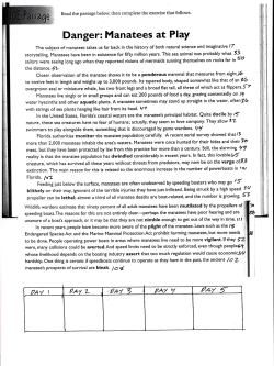 Danger: Manatees at PlaY