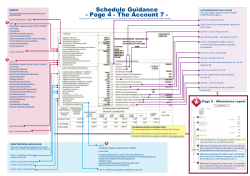 Schedule Guidance - Page 4 - The Account 7 -