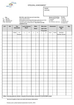 Epidural Assessment Sheet 2016