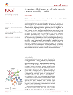 Segregation of lipids near acetylcholine