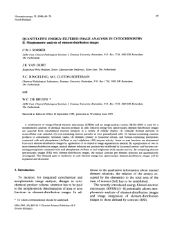 II. Morphometric analysis of element-distribution