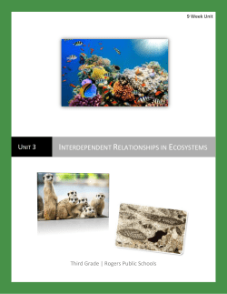 Interdependent Relationships in Ecosystems