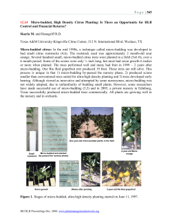Page | 365 12.14 Micro-budded, High Density Citrus Planting: Is