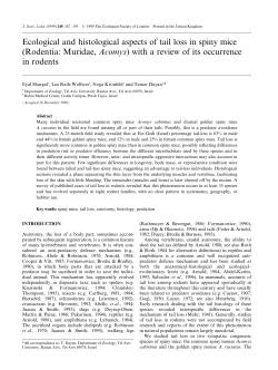 Ecological and histological aspects of tail loss in spiny mice