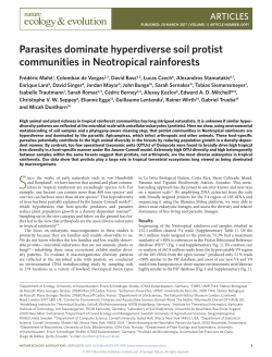 Parasites dominate hyperdiverse soil protist communities in