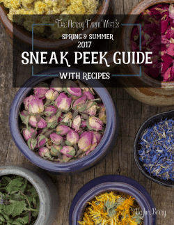 sneak peek guide - The Nerdy Farm Wife